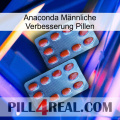Anaconda Männliche Verbesserung Pillen 05